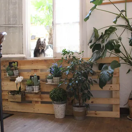 En Отель типа 