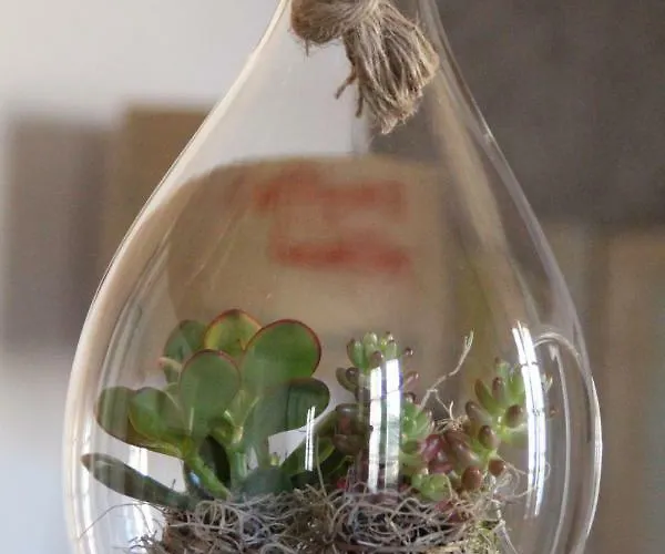 Bed & Breakfast En 4*